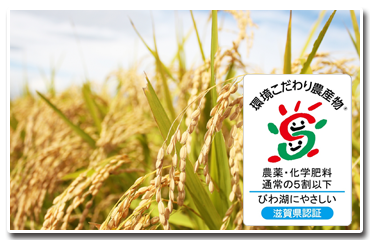 滋賀環境こだわり農産物認証の自家製特別栽培米【滋賀 竜王cafe mocomoco】